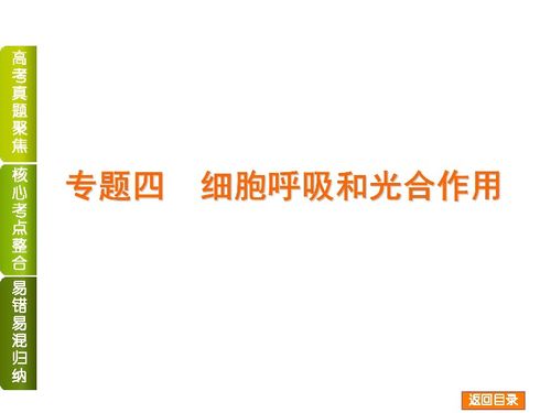 2014屆高考生物二輪復(fù)習(xí) 細胞呼吸和光合作用專題精講