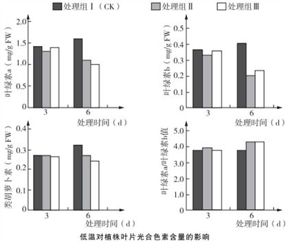 光合作用暗反應(yīng)階段對光的間接依賴性探究