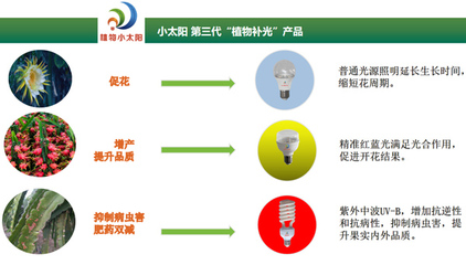 聚焦反季高效栽培，科技賦能海南火龍果產(chǎn)業(yè)——2020海南火龍果反季節(jié)種植管理研討會(huì)圓滿舉行